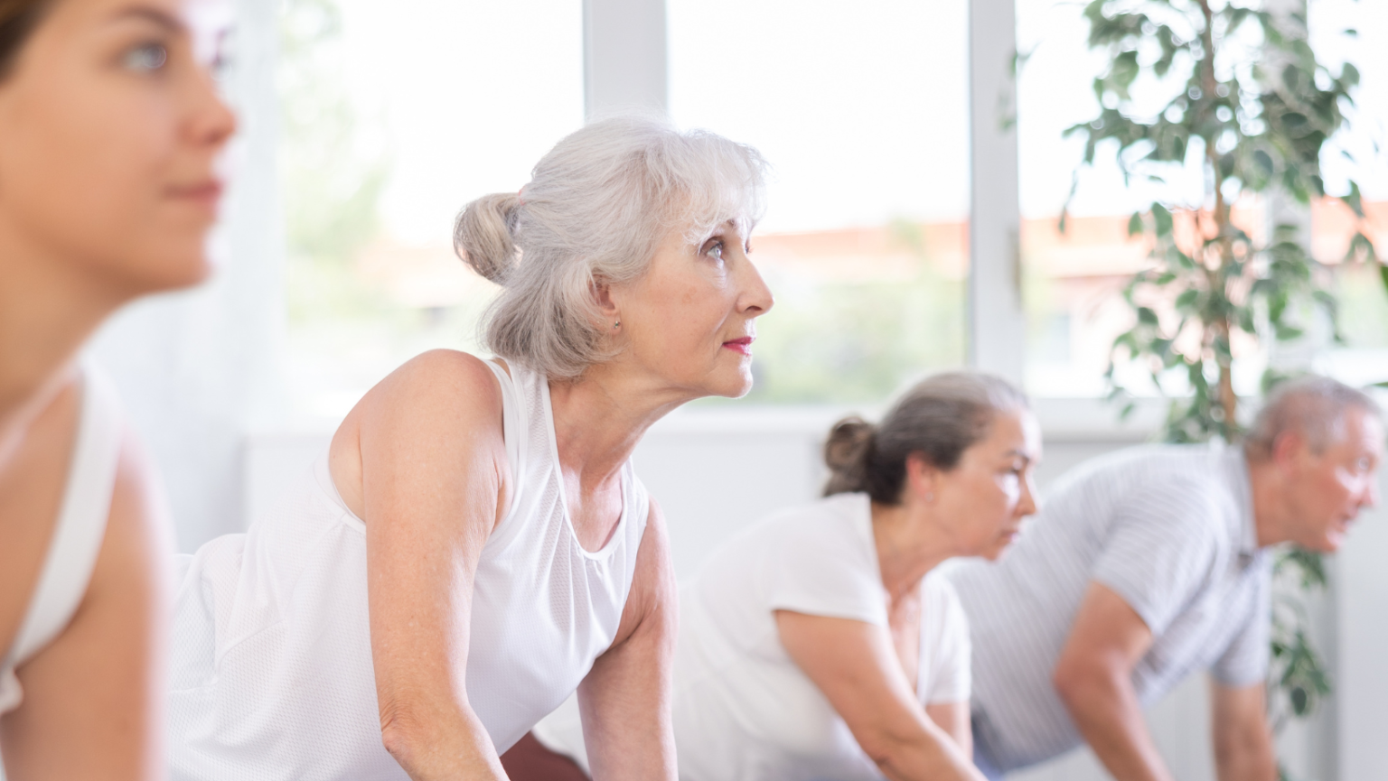 Senior Fitness Training